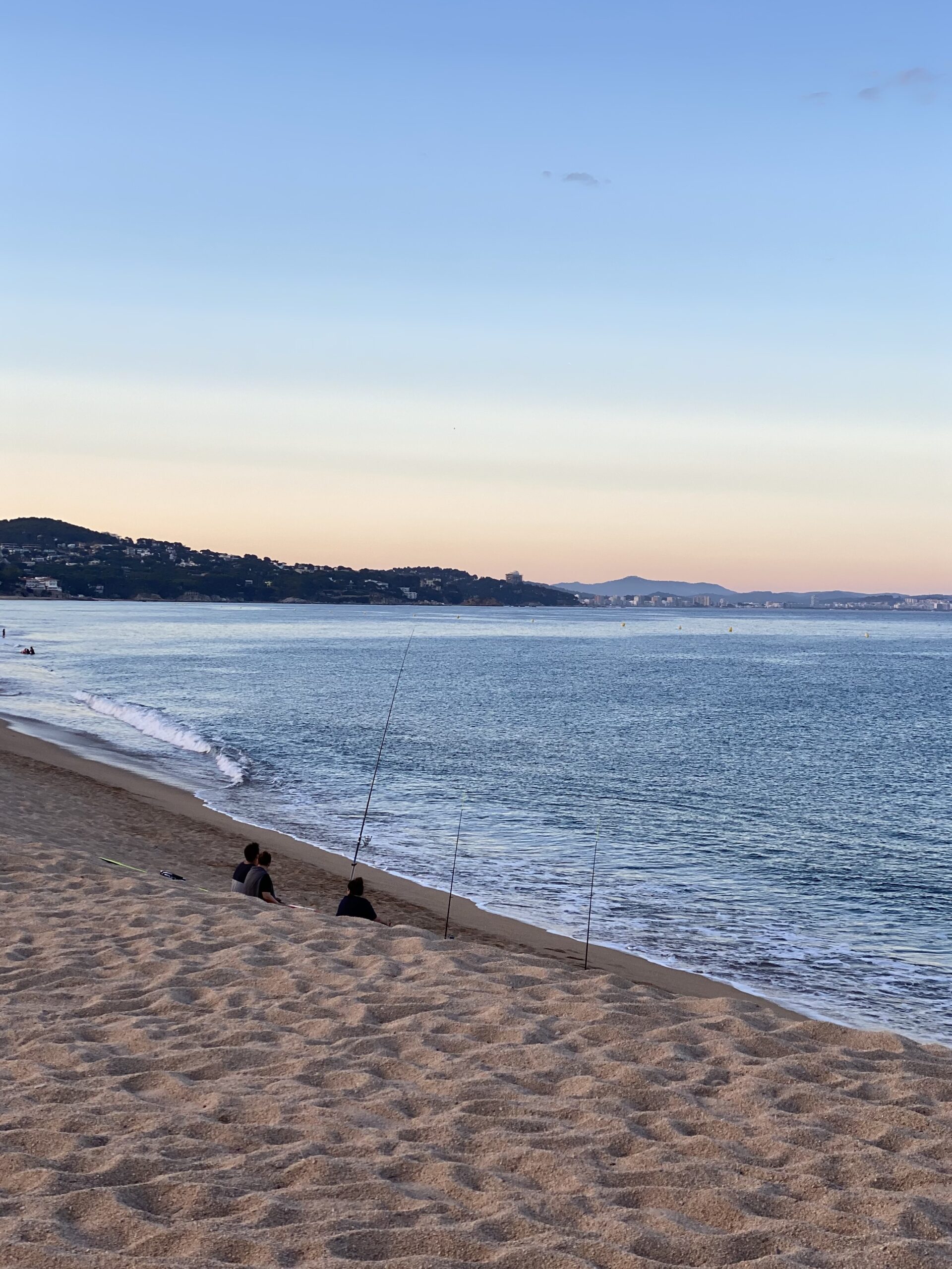 The report on the state of recreational marine fishing in Catalonia in 2024 is now available